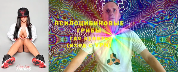 амф Вязьма