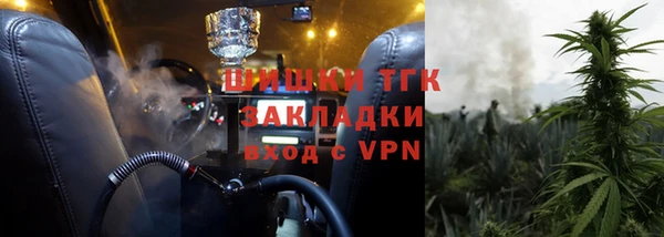 гашик Гусев