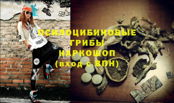 амф Вязьма