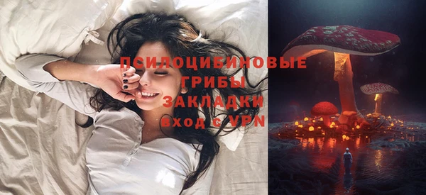 гашик Гусев