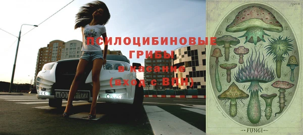 прущие крисы Гусь-Хрустальный