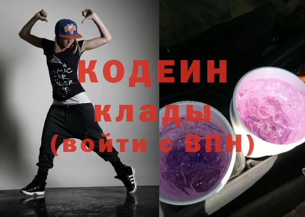 гашик Гусев