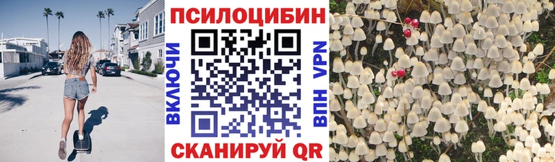 ОМГ ОМГ рабочий сайт  Жиздра  Галлюциногенные грибы GOLDEN TEACHER 